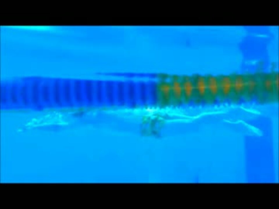 人気の クロール 動画 93本 ニコニコ動画