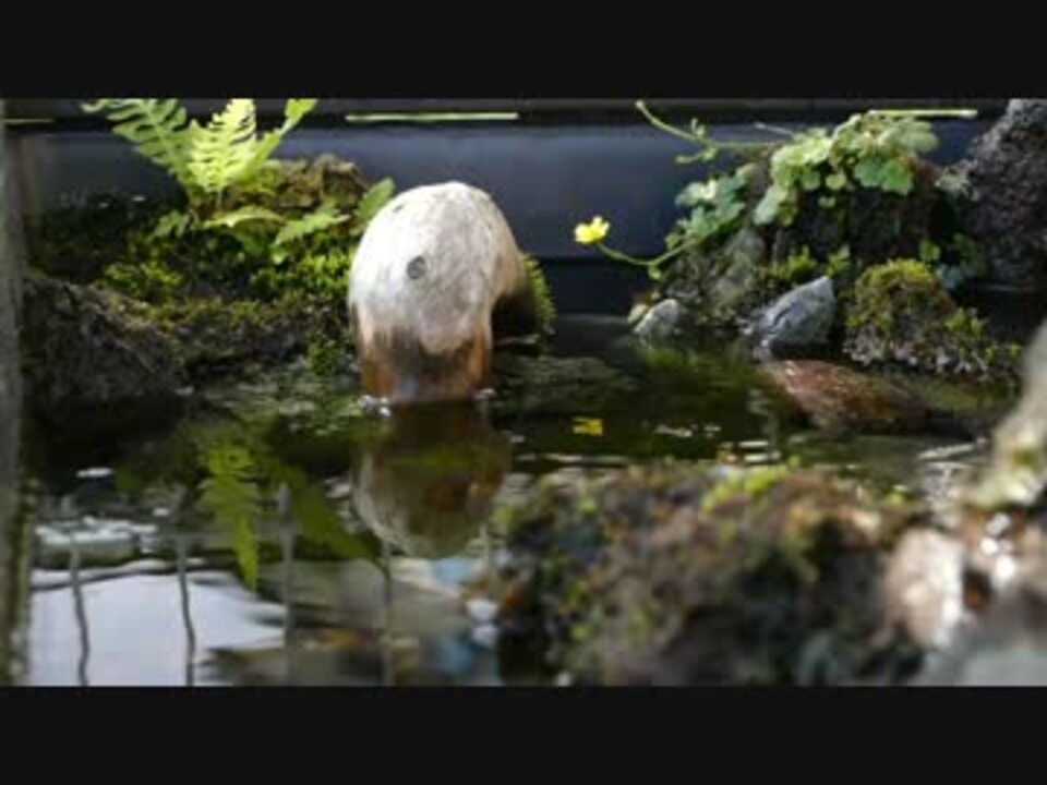 プラ舟で作る日本の清流 16 滝 ニコニコ動画