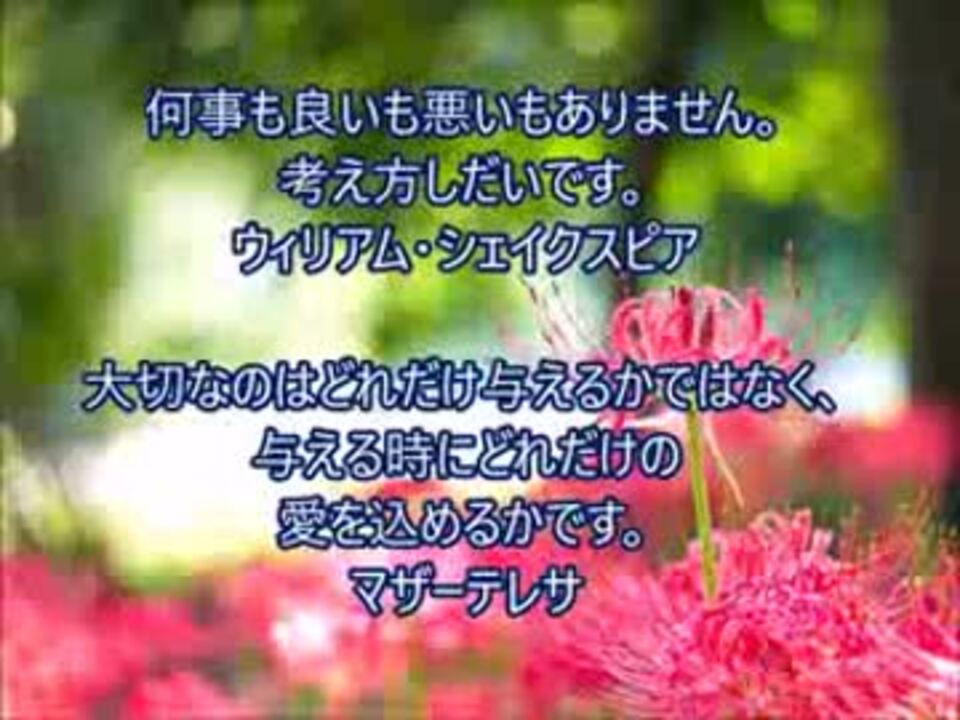 人気の マザー テレサ 動画 18本 ニコニコ動画