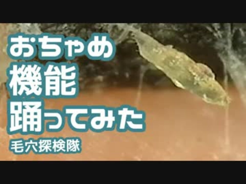 人気の 角栓 動画 144本 2 ニコニコ動画