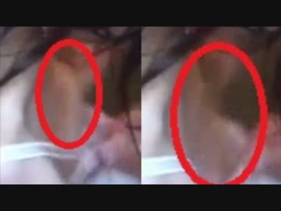【無乳】無乳が乳を無理やり引っ張って寄せて上げる瞬間【おっぱい】
