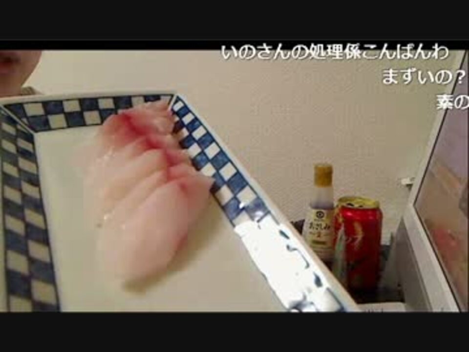 こんな時間に刺身食べる枠 イサキ 貰ったコロダイ ニコニコ動画