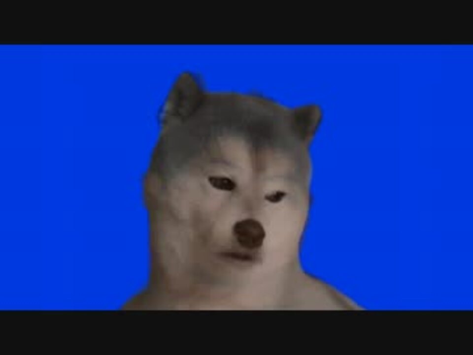 後輩のまんまるなタマを見て野獣と化す先輩 Woof ニコニコ動画