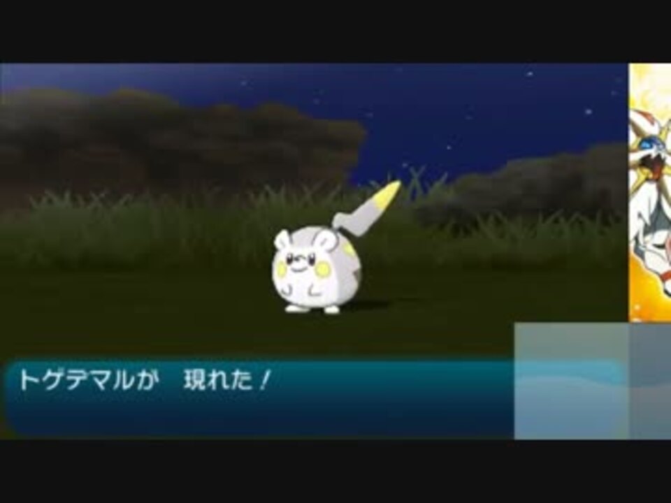 ポケモンサンムーン 可愛いトゲデマルをゲットだぜ ニコニコ動画