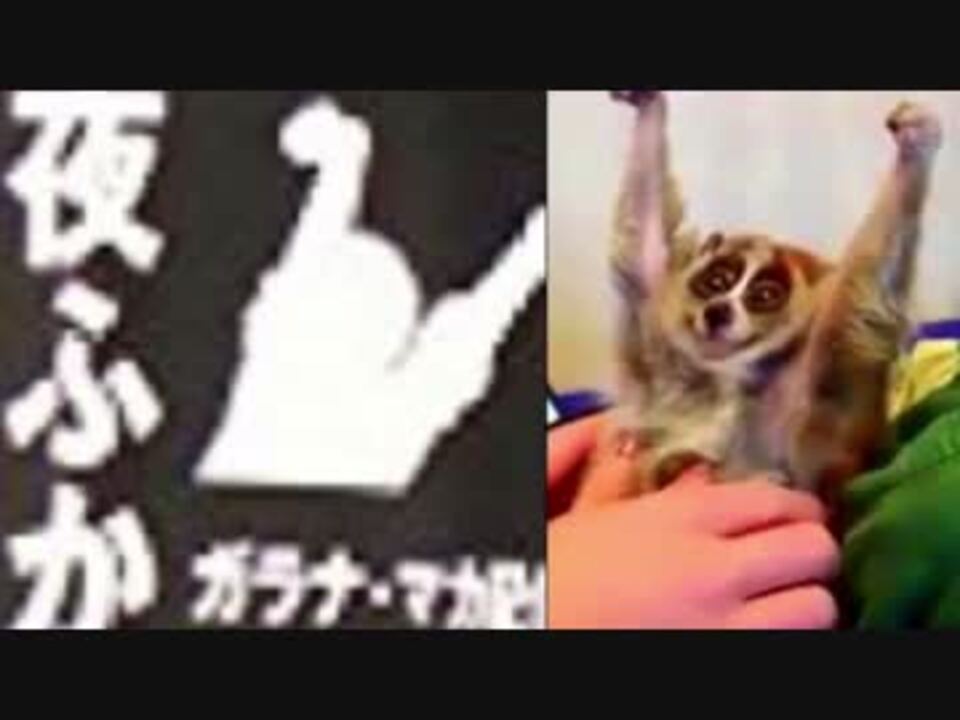 人気の ガッツポーズ淫夢くんシリーズ 動画 1 793本 7 ニコニコ動画