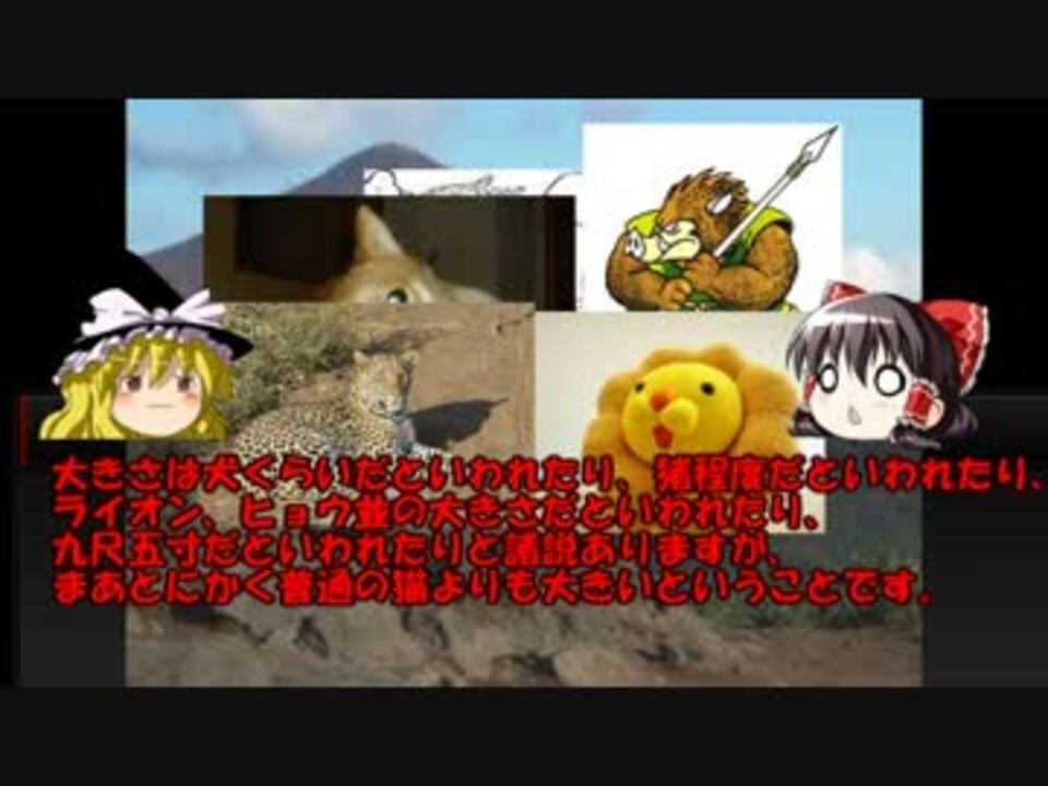 ゆっくり妖怪解説 第二十三回 猫又 ニコニコ動画
