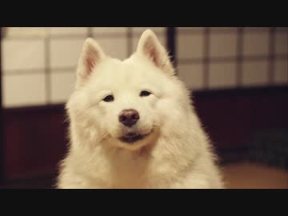 ゆとり桃太郎と勇者犬ヒコ ニコニコ動画