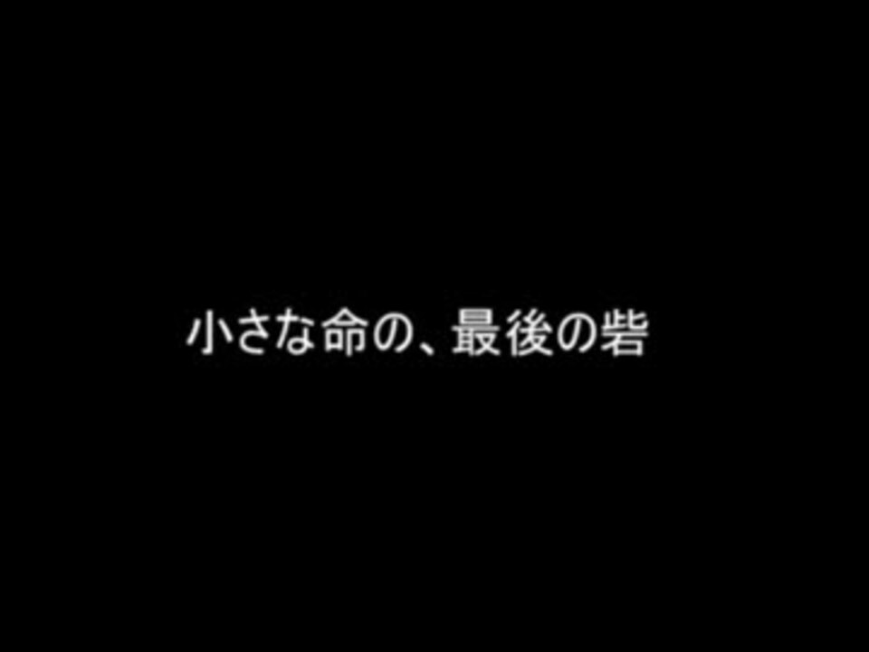 人気の ポケモンｏras 動画 775本 3 ニコニコ動画