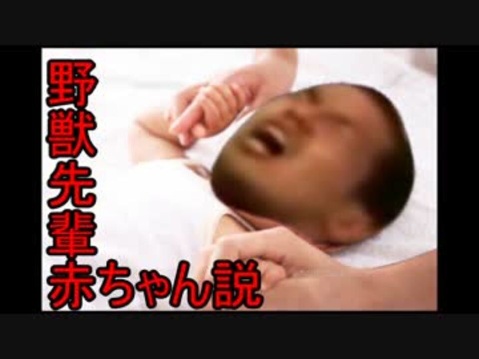 野獣先輩赤ちゃん説 ニコニコ動画