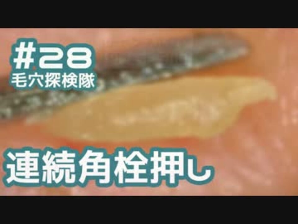 人気の ｽｯｷﾘ動画 動画 378本 4 ニコニコ動画