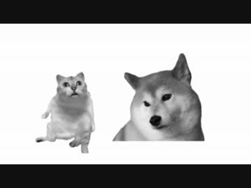 野獣犬に助けられたmur猫 新mur猫bb ニコニコ動画