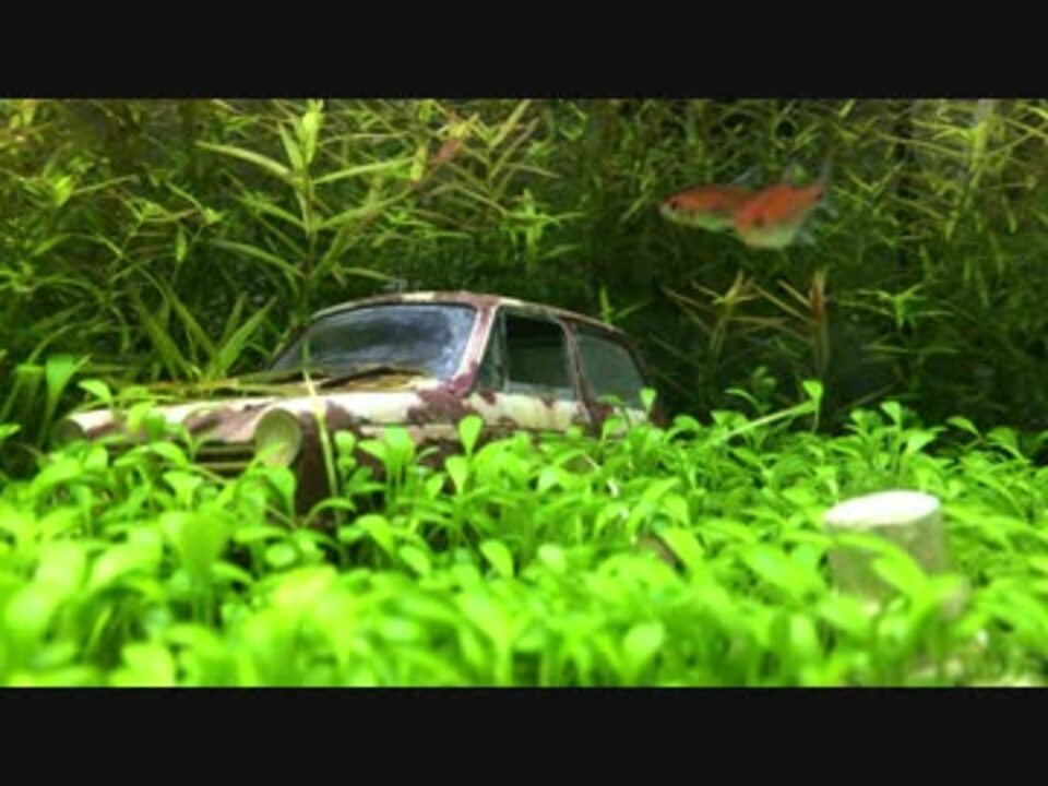 アクアジオラマ 1作目 1 2 プラモデルを水槽に沈めてみた ニコニコ動画