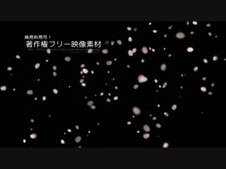 著作権フリー動画素材 商用利用可能 花びら舞う11 ニコニコ動画