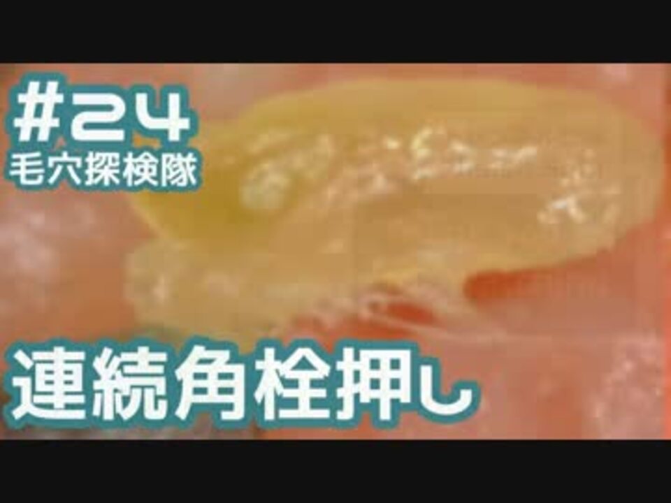 人気の 毛穴探検隊 動画 46本 ニコニコ動画