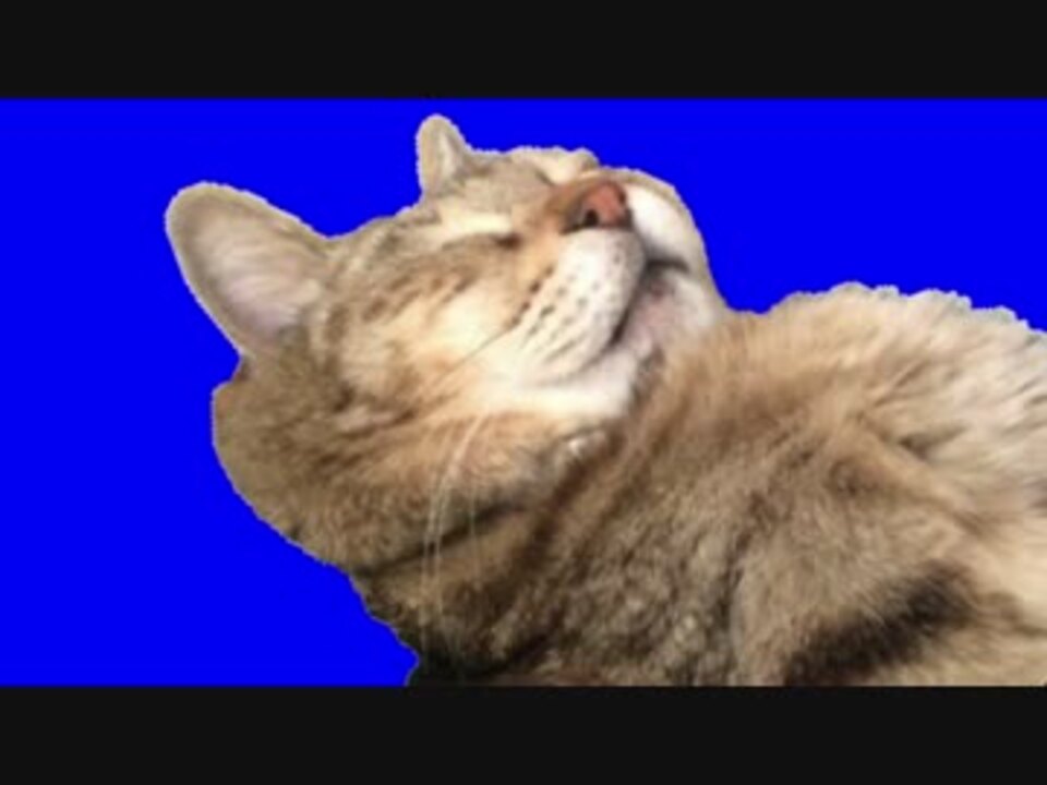 ご満悦猫先輩ｂｂ 使用例 ニコニコ動画