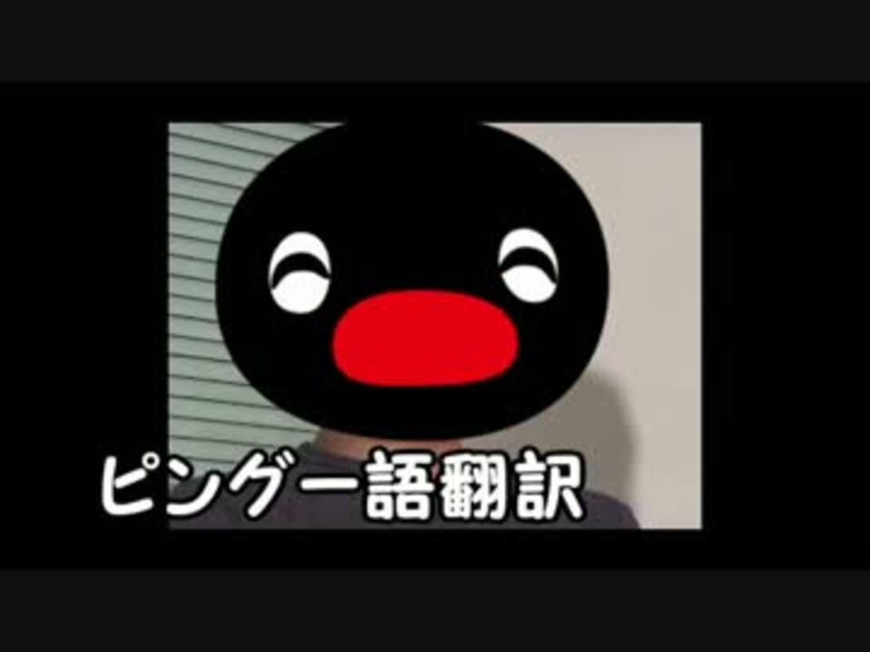 ピングー語 インタビュー先輩 Pinkey 同時通訳 ニコニコ動画