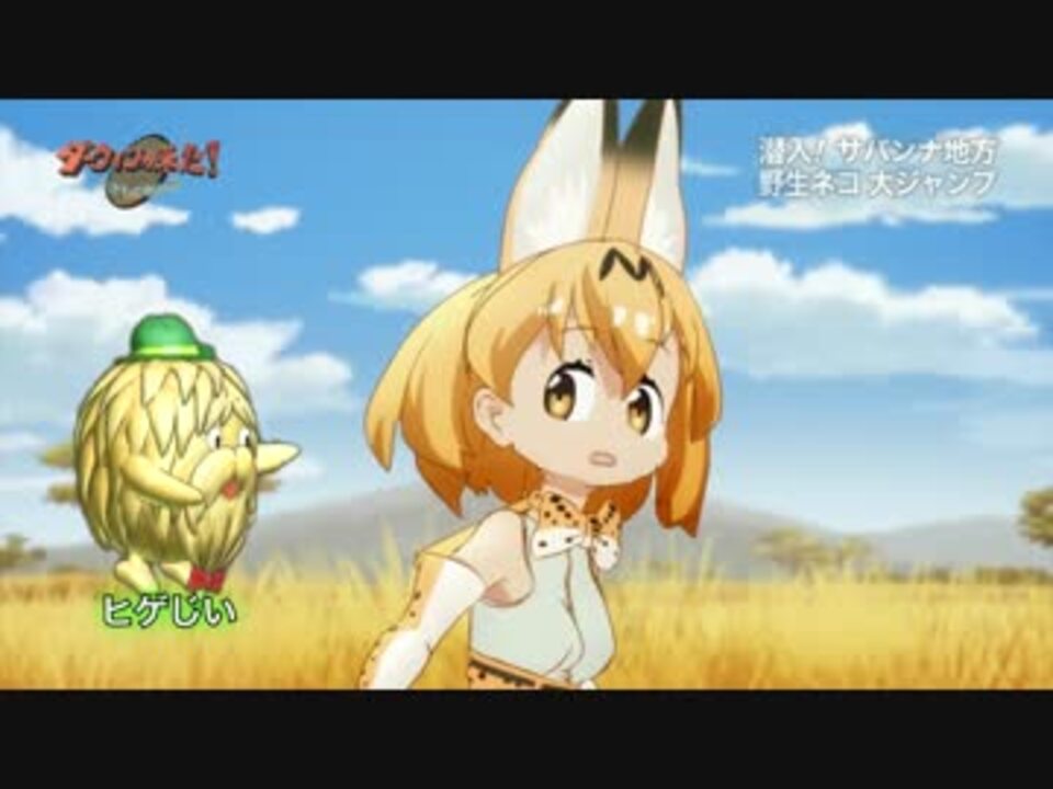 ダーウィンが来た けものフレンズ スペシャル サーバル 強烈パンチ ニコニコ動画