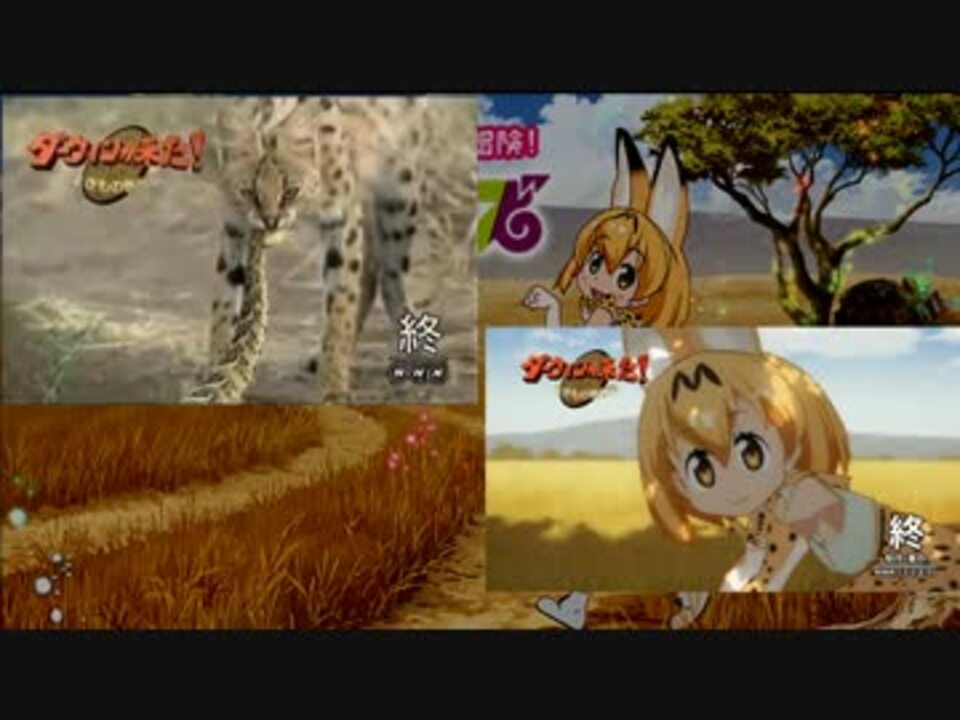 ダーウィンが来た けものフレンズ サーバル 強烈パンチ 比較動画 ニコニコ動画