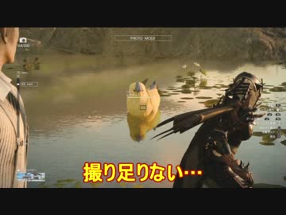 事務所で 心の向くままヒナドリスを観察する ゲーム実況 ニコニコ動画