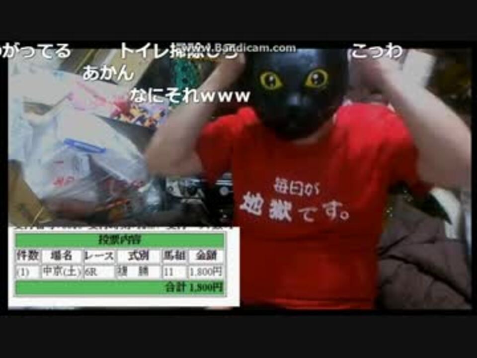 よっさん 大きい猫を怖がる黒之 ニコニコ動画