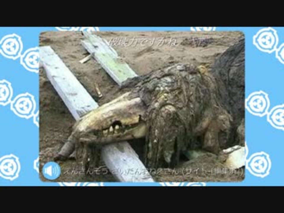 人気の みんな大好きクソトカゲ 動画 3本 ニコニコ動画