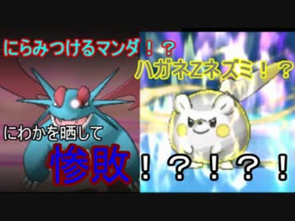 ポケモンsm にらみつけるボーマンダとハガネzトゲデマル Wcs S3 1 ニコニコ動画