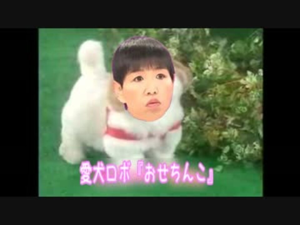 愛犬ロボ おせちんこ ニコニコ動画