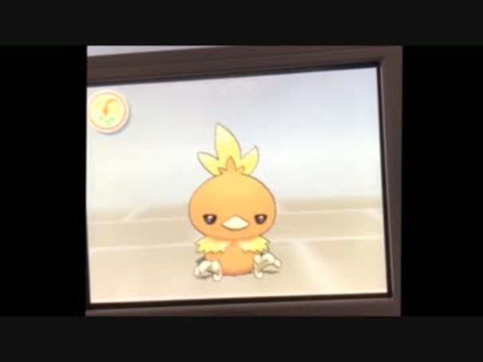 アチャモにポケマメをあげました とても喜んでいます ニコニコ動画