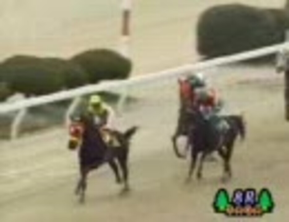 人気の 競馬 落馬 動画 61本 2 ニコニコ動画