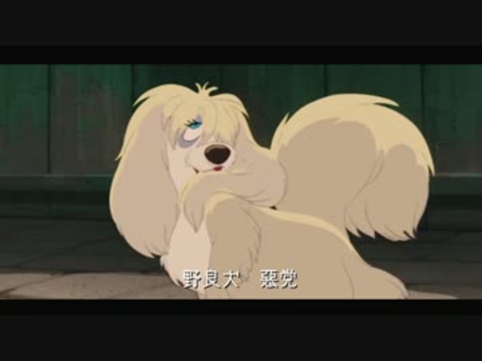 ノラ犬たちが好きすぎて 彼がトランプさ 歌った ニコニコ動画