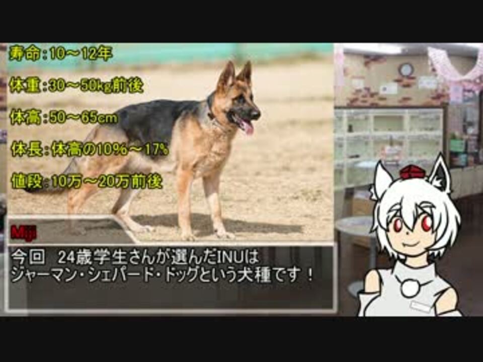 Inuカス ニコニコ動画
