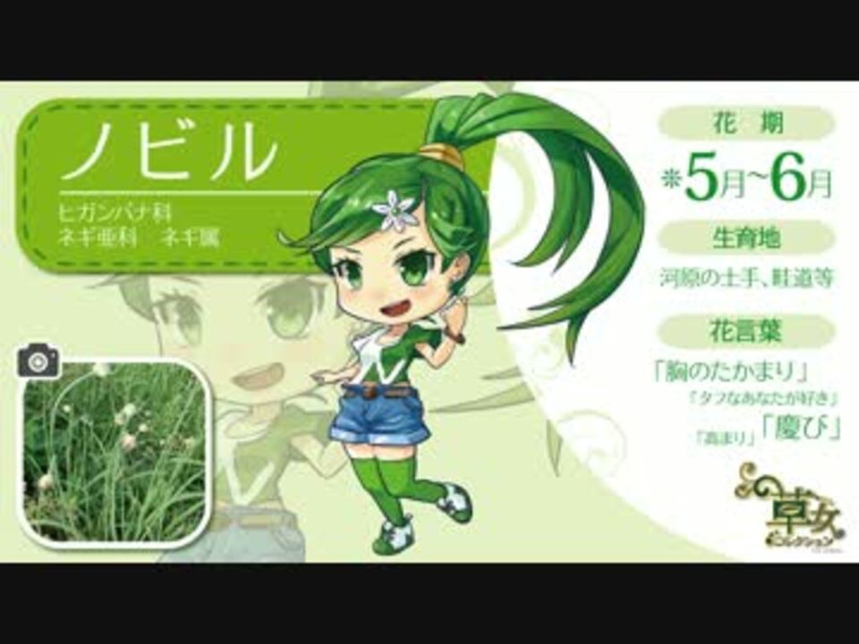 第一話 近所の土手でノビルちゃんと出会う 1 2 ノビルで野草料理