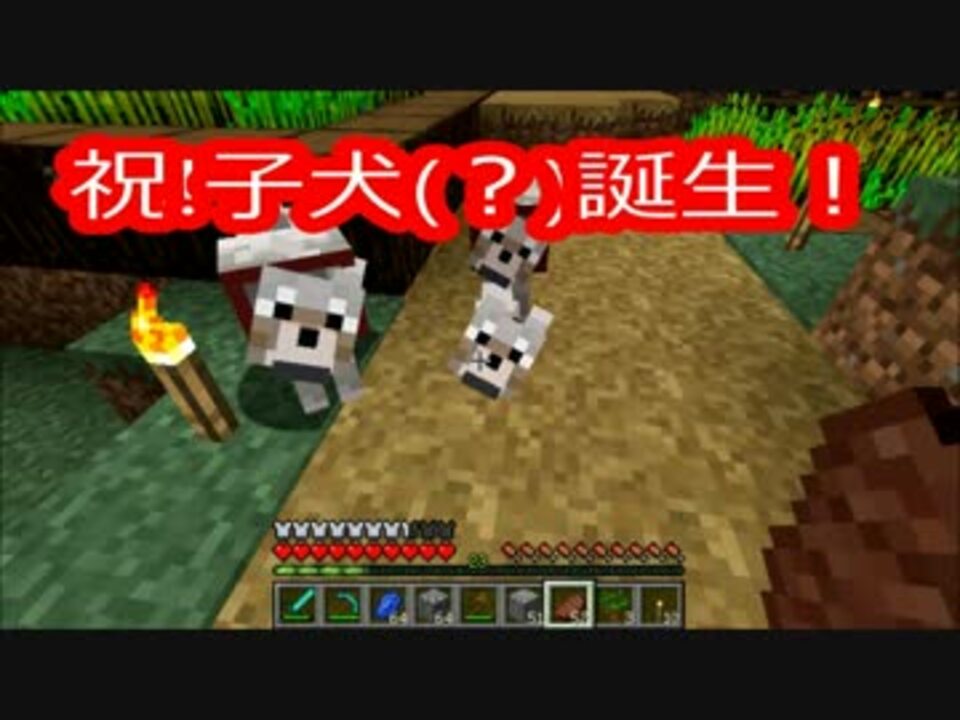 人気の 見慣れた 動画 125本 2 ニコニコ動画