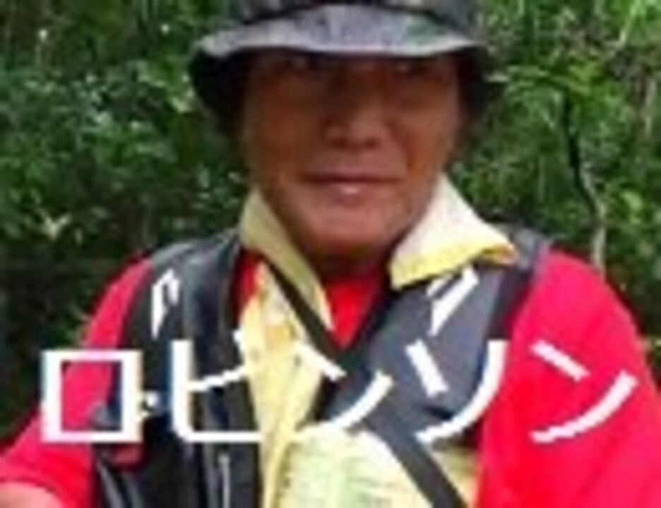 西表島 ロビンソンの小屋 ニコニコ動画