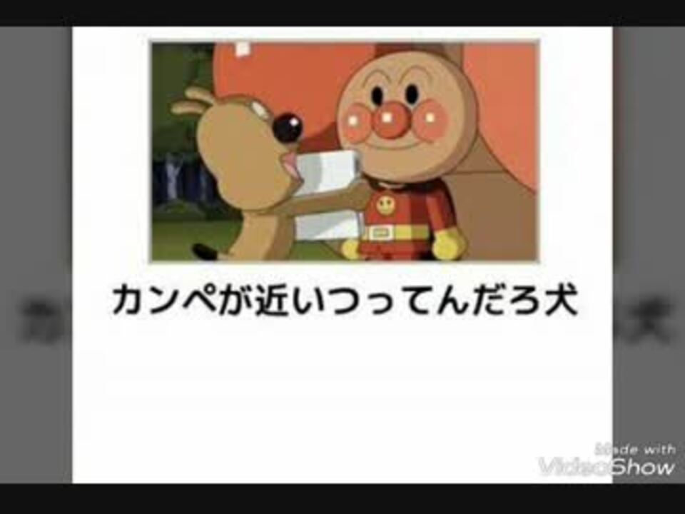 ボケて カンペが近いつってんだろ犬 ニコニコ動画