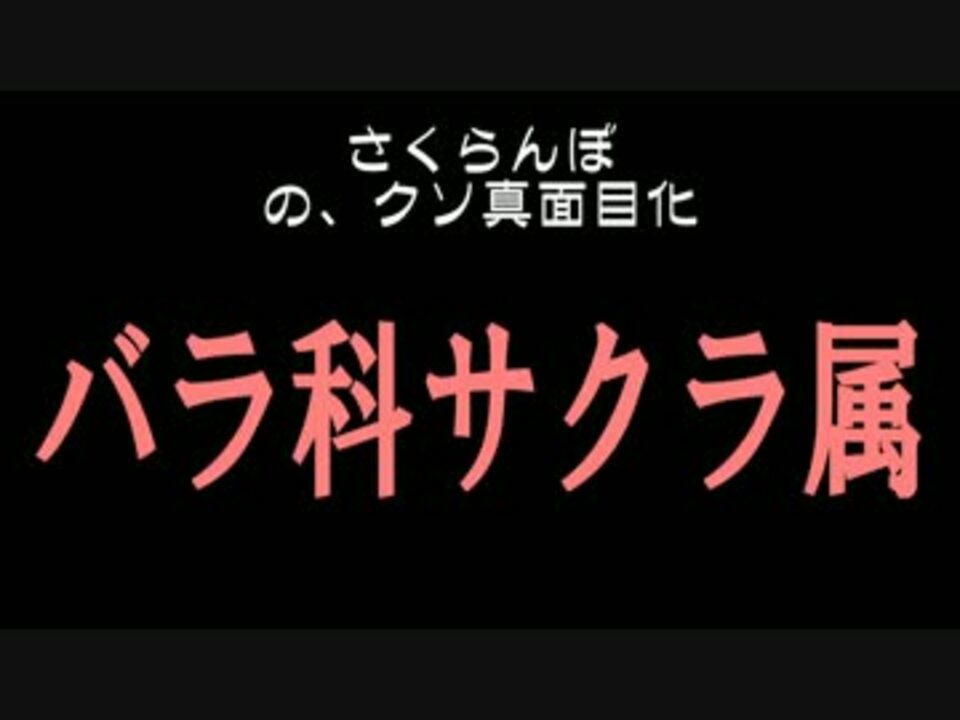 クソ真面目ラブソング さくらんぼ 大塚愛 歌ってみた バラ科サクラ属 ニコニコ動画