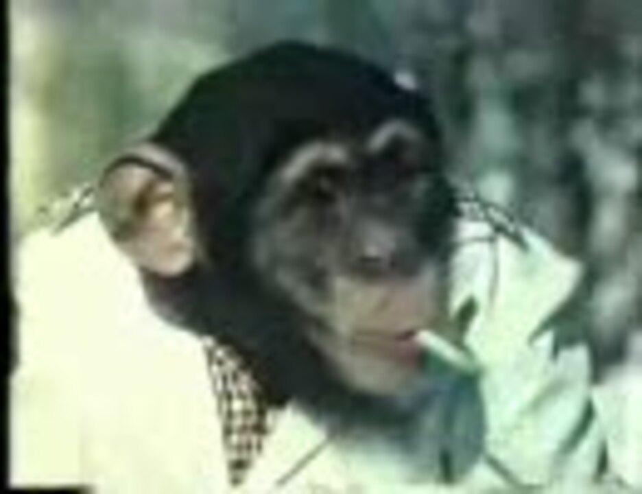 人気の 笹川良一 動画 29本 ニコニコ動画