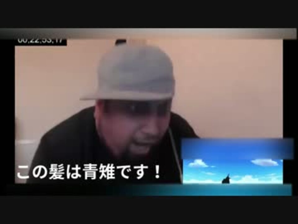 青雉が大好きすぎて髪だけで判別できる外国人 ニコニコ動画