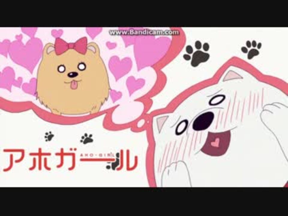 よしこの犬とさやかちゃんのポメラニアン ニコニコ動画