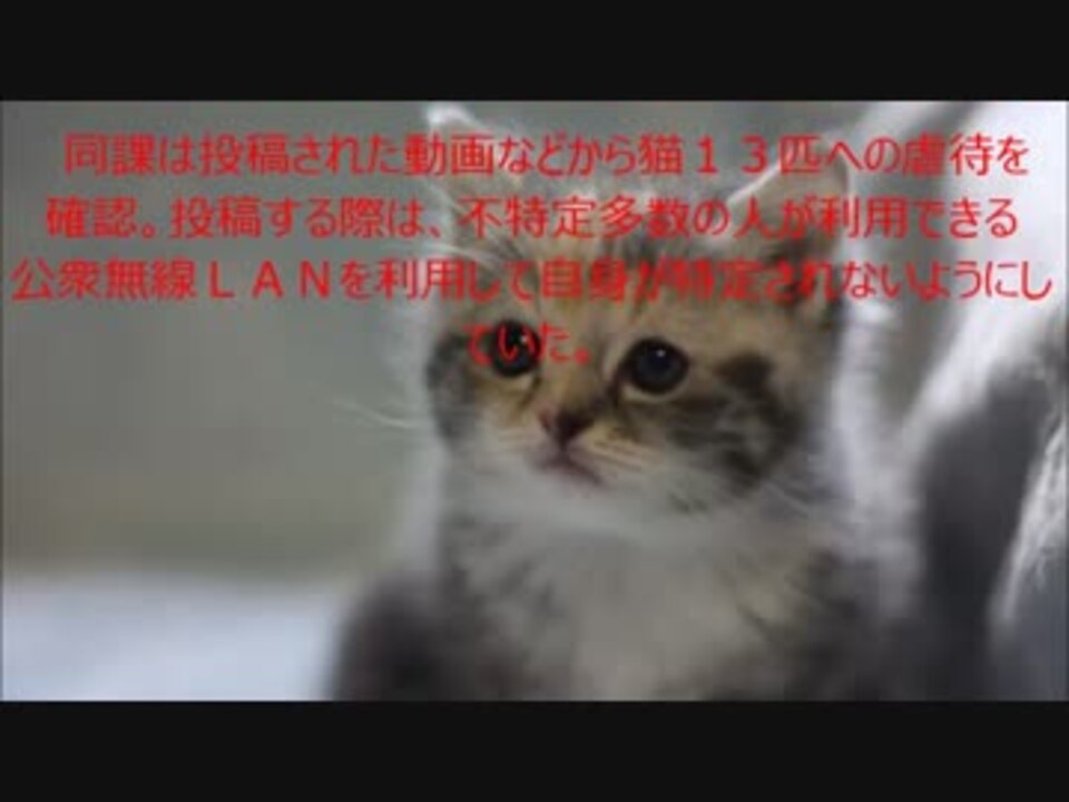 猫を虐待 ニコニコ動画