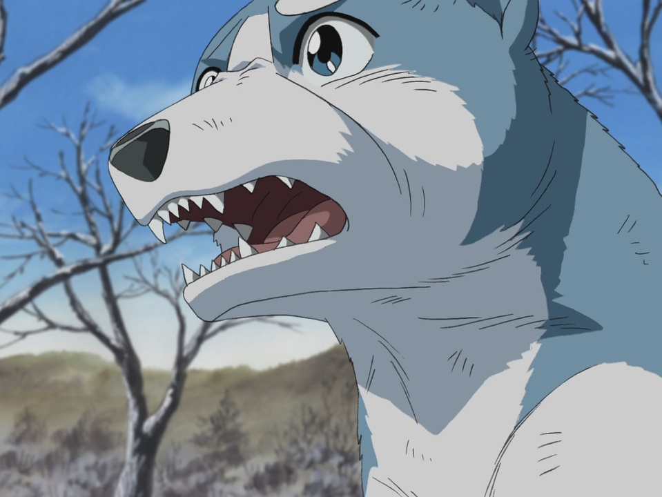 銀牙伝説ウィード キャラクター – 銀牙伝説レクイエムraw – LXCM