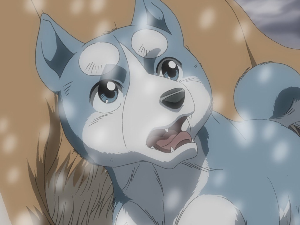 人気の 銀牙伝説weed ウィード 動画 26本 ニコニコ動画