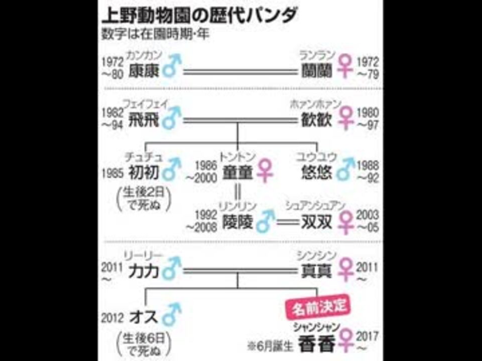 衝撃 上野動物園のパンダの名前をまとめていたらとんでもない事が ニコニコ動画