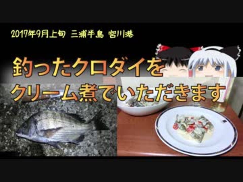 人気の クロダイ 動画 69本 2 ニコニコ動画