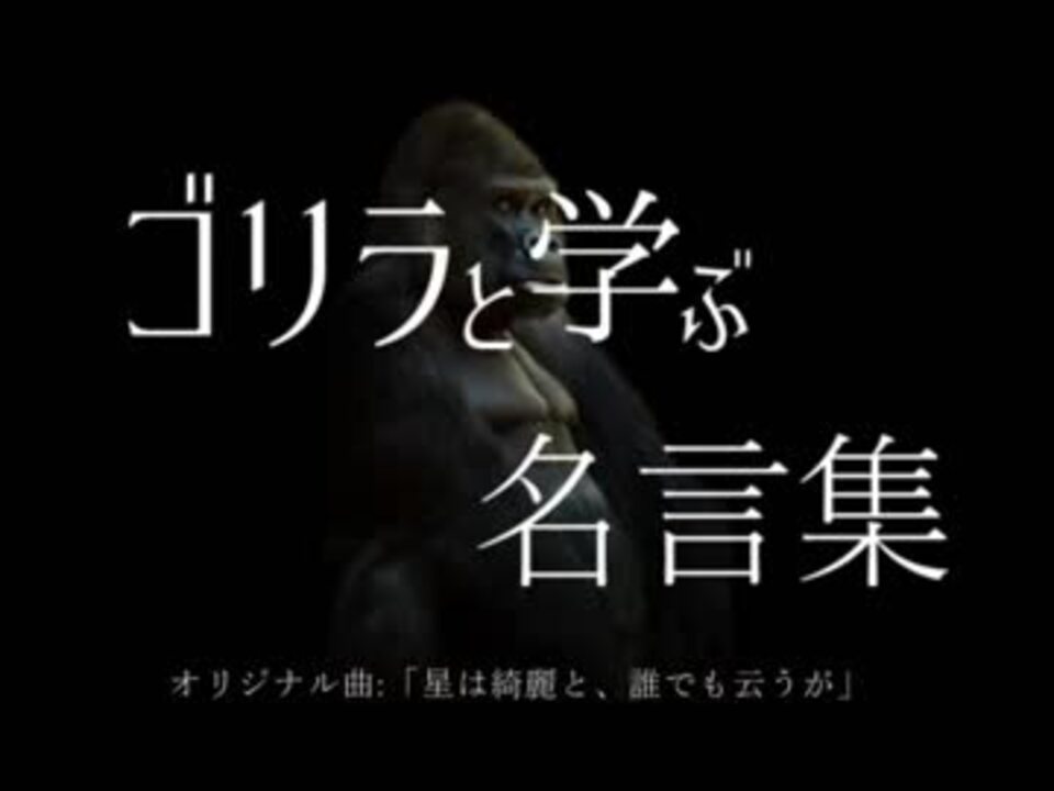 ゴリラと学ぶ名言集 ニコニコ動画