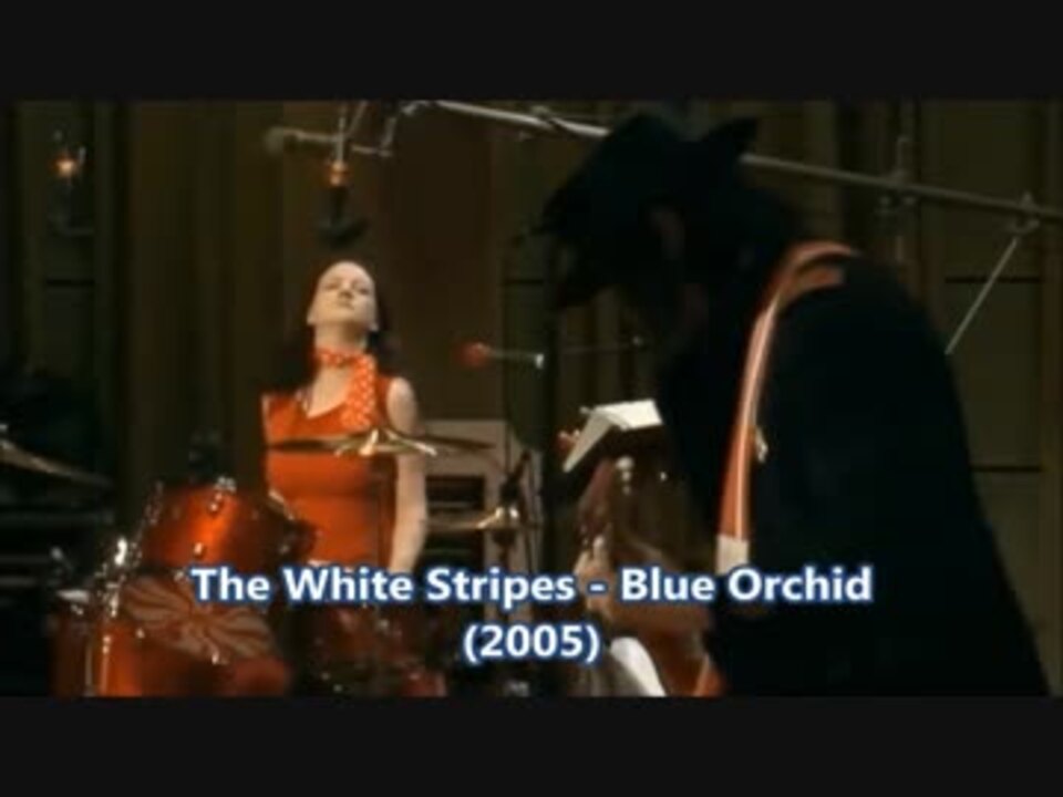 The White Stripes - Blue Orchid [歌詞.和訳.解説]