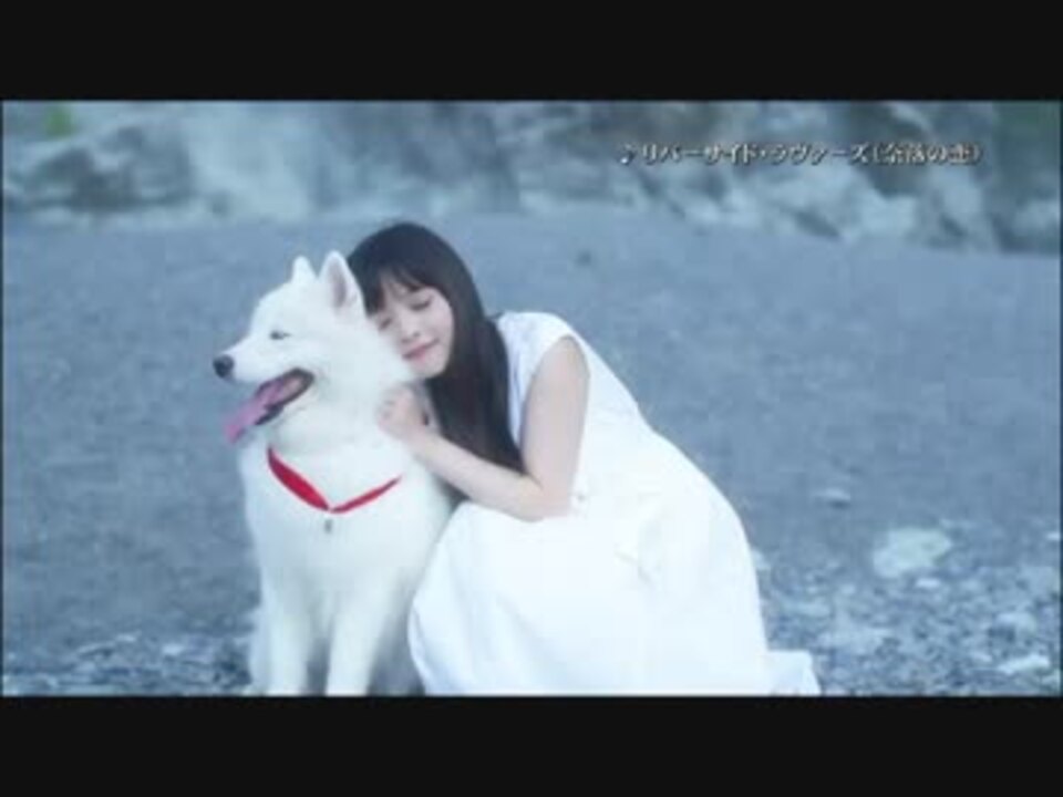 上坂すみれ 彼女の幻想 Ep Tvcm と ヤバい Box Cm他 ニコニコ動画