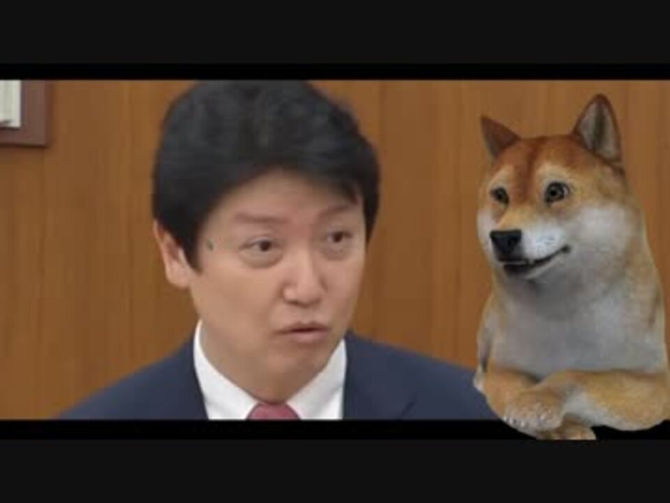 人気の 柴犬さんニュース 動画 136本 ニコニコ動画