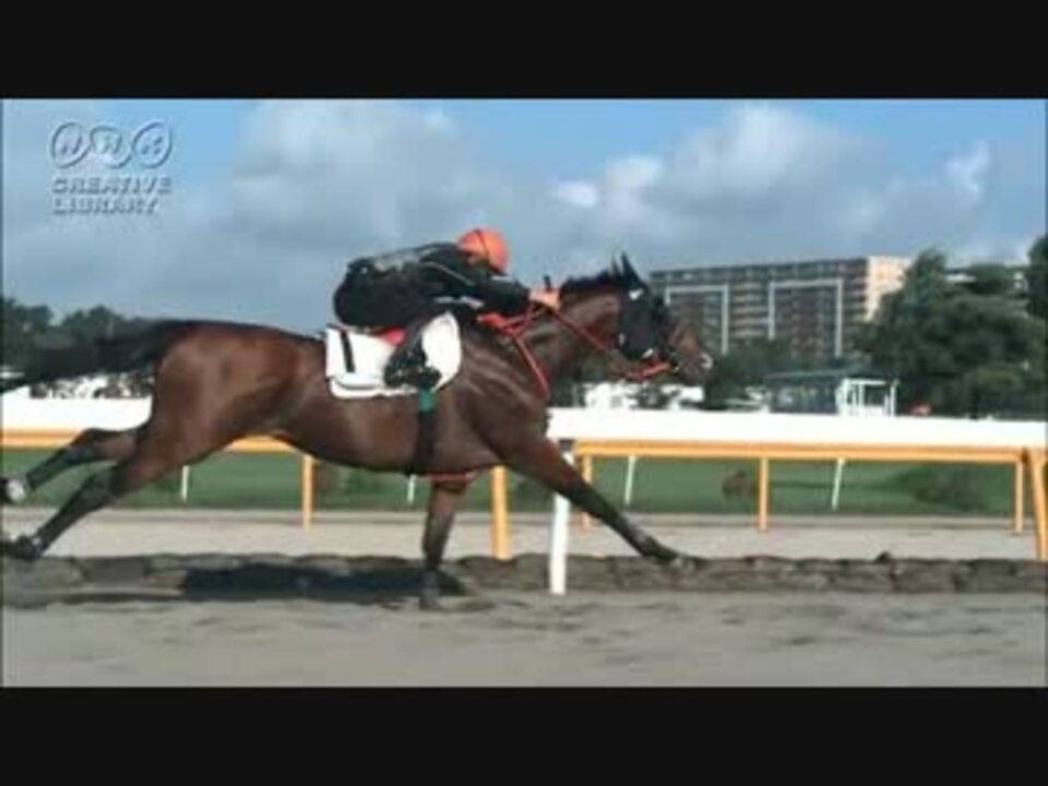 徳川高人 走る馬をスローモーションで ニコニコ動画