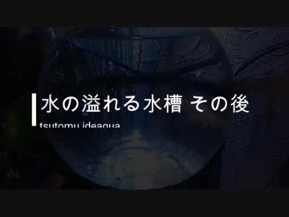 水の溢れる水槽 その後 ニコニコ動画